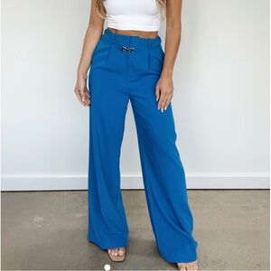 NWT Lane 201 pants